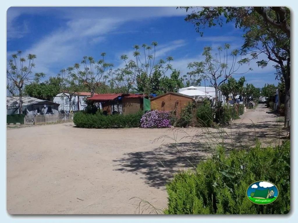 Camping Oliveres Baix Camp en Cambrils (Tarragona), Tarragona - imagen 2