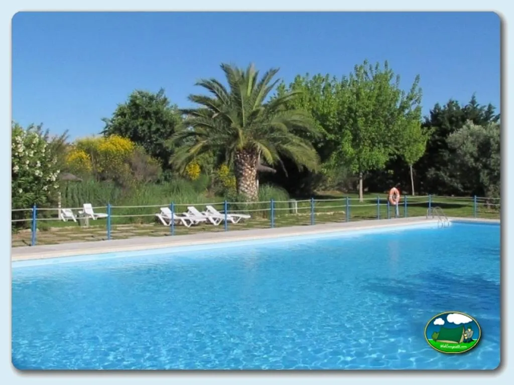 Piscina con vistas a palmeras y zona verde del Camping Lake Caspe, Caspe (Zaragoza)