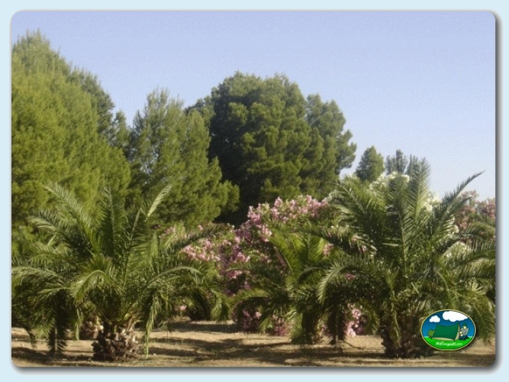 foto del camping Camping Lake Caspe