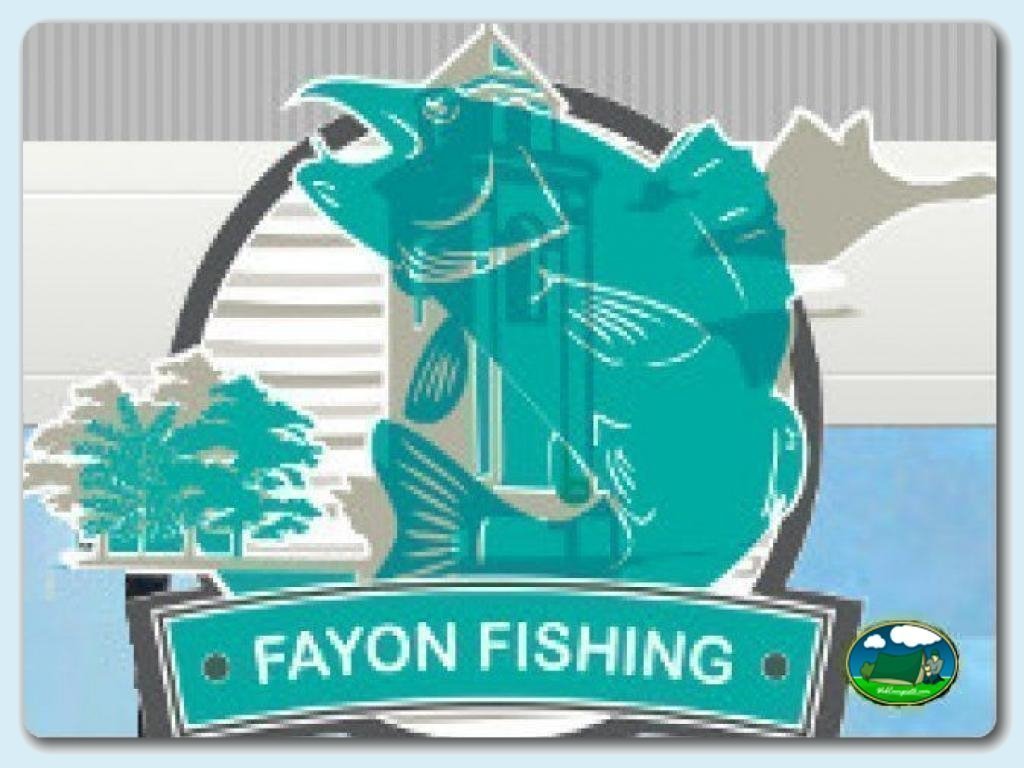 Camping Fayon en Fayon