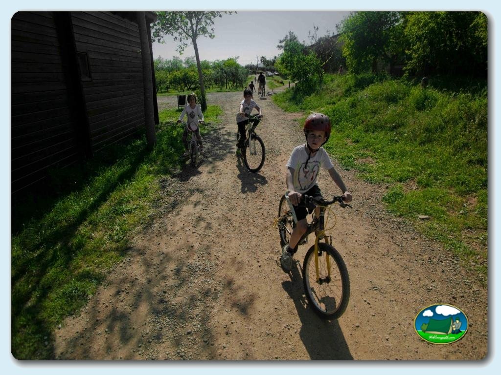 foto del camping Camping Ecocamp Vinyols