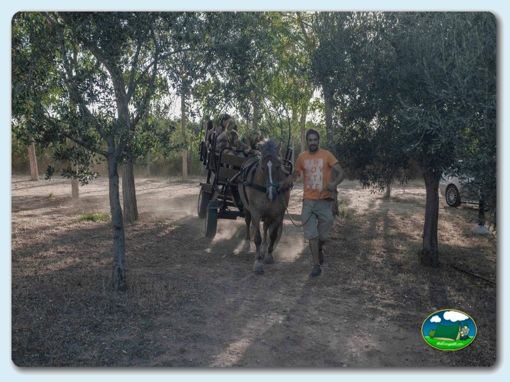 foto del camping Camping Ecocamp Vinyols