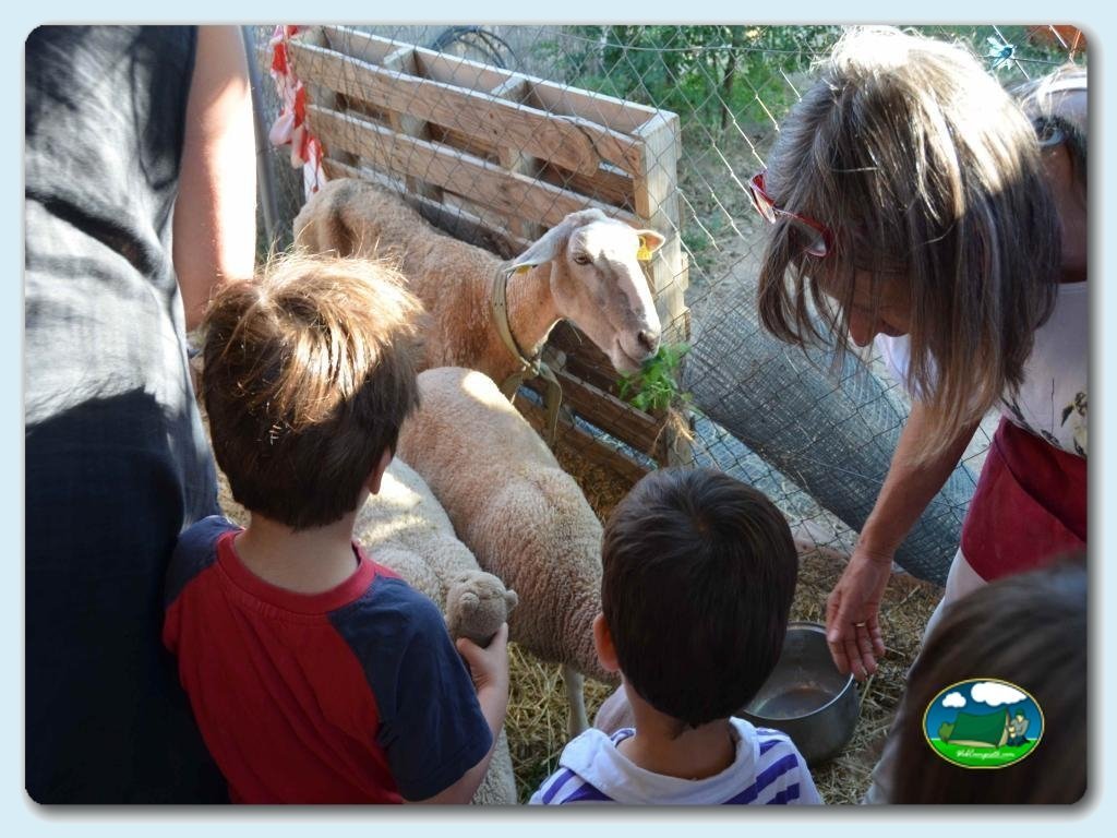 Camping Ecocamp Vinyols