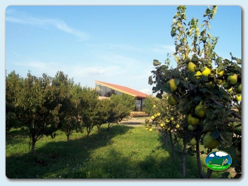 foto del camping Camping Ecocamp Vinyols