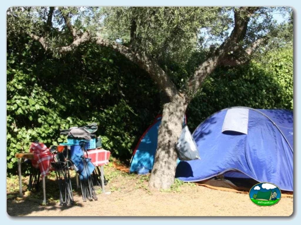 foto del camping Camping La Pineda