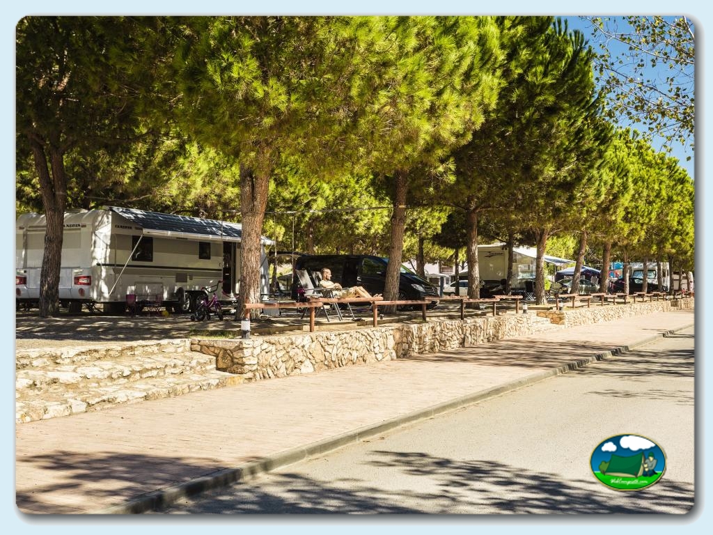 foto del camping Camping Las Palmeras