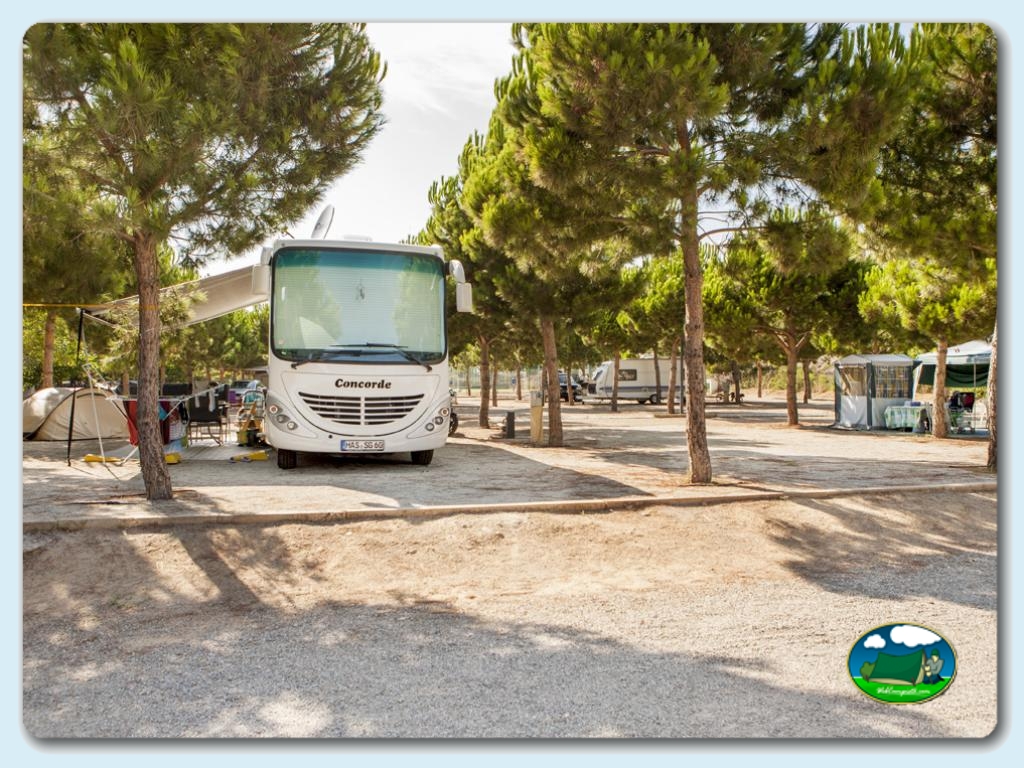foto del camping Camping Las Palmeras