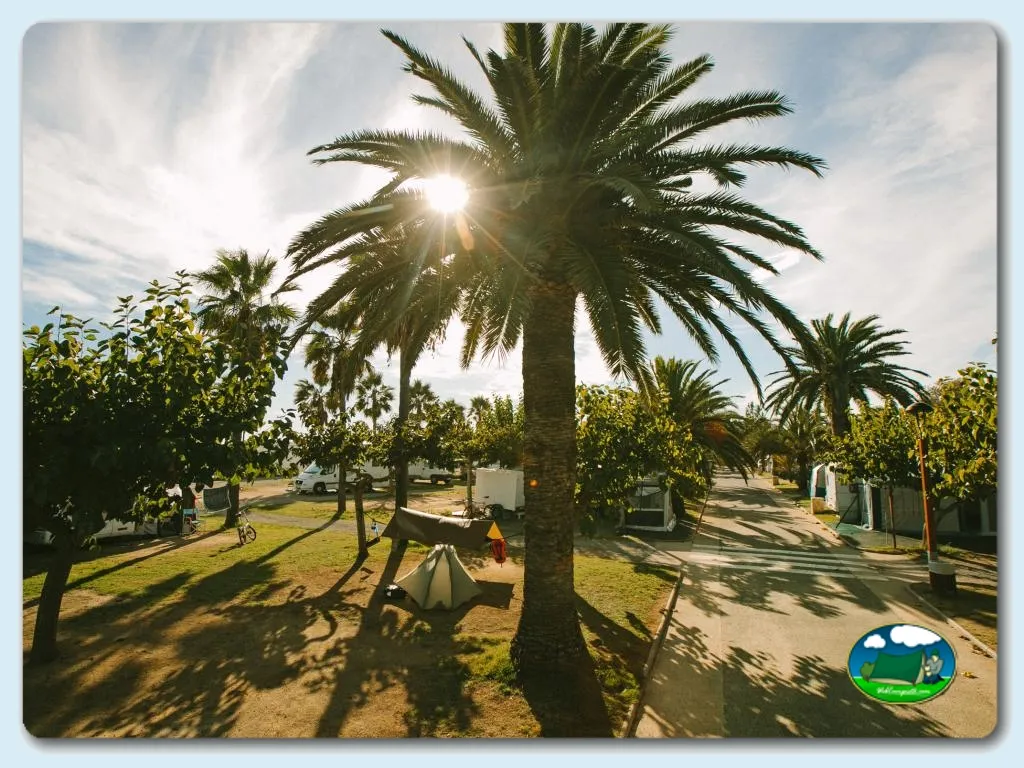 Camping Las Palmeras en Tarragona - imagen 4