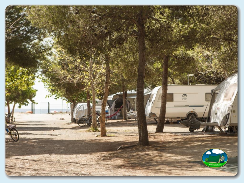 foto del camping Camping Las Palmeras