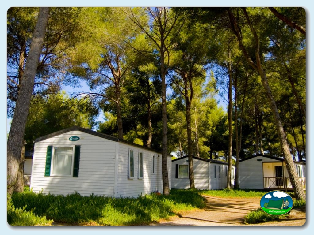 foto del camping Camping Las Palmeras