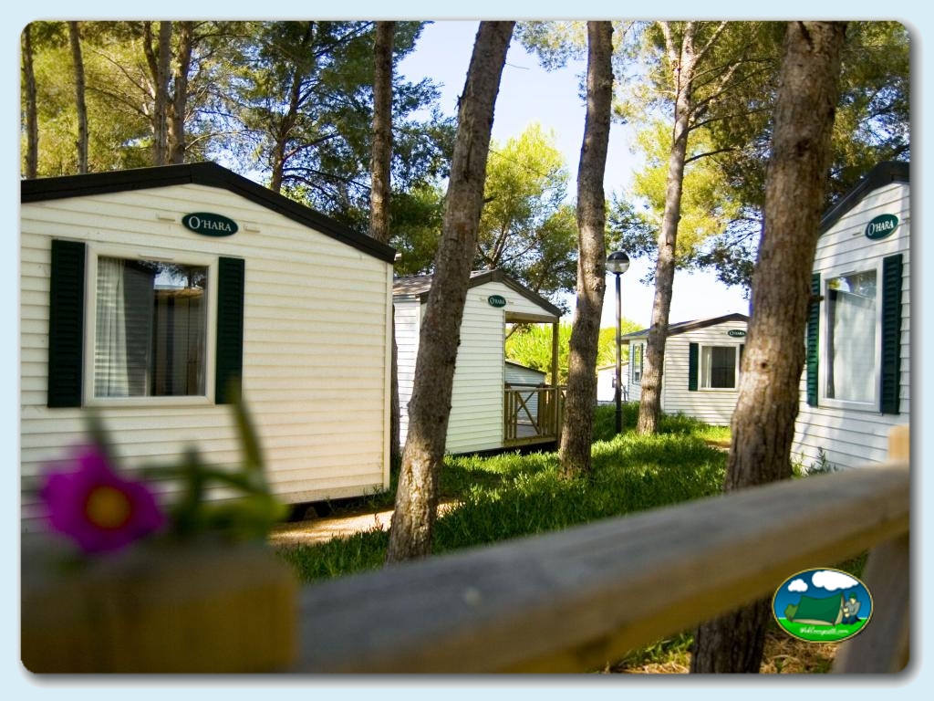 foto del camping Camping Las Palmeras