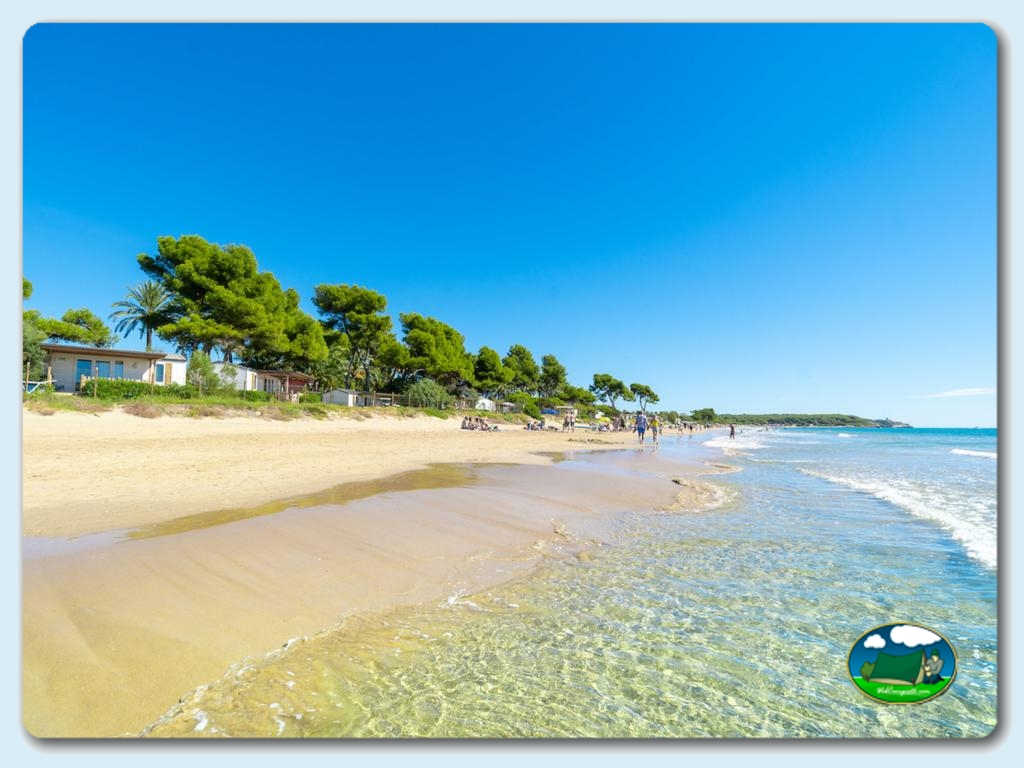 foto del camping Camping Las Palmeras