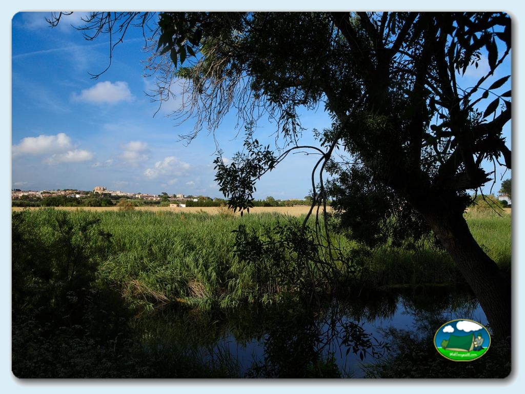 foto del camping Camping Tamarit Beach Resort