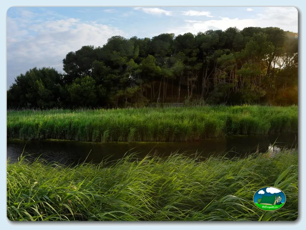 Camping Tamarit Beach Resort en Tarragona - imagen 3