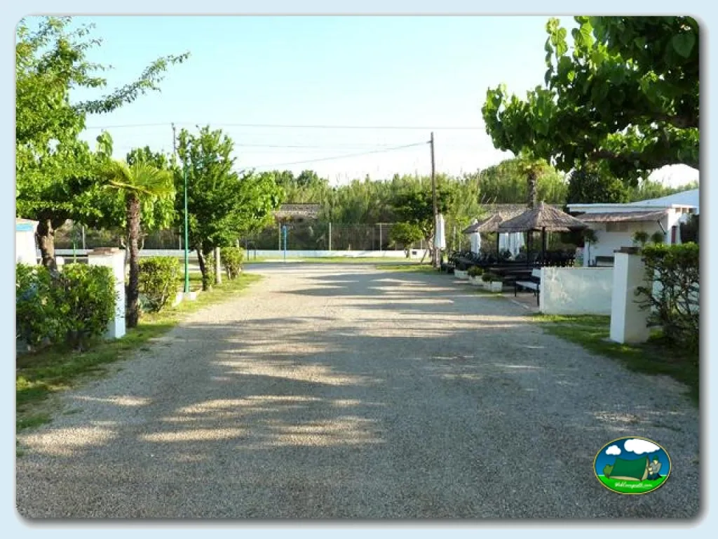 Camping Don Quijote en Altafulla, Tarragona., Tarragona - imagen 4