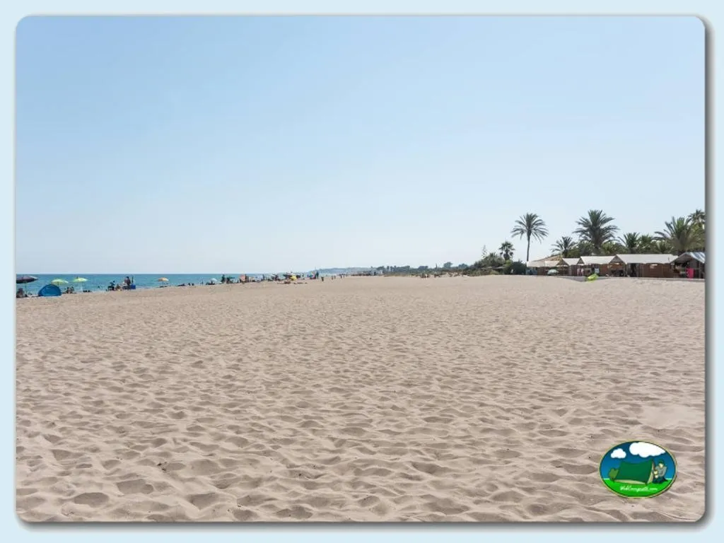 Playa junto al mar con palmeras y alojamientos del Camping Caravaning Gavina, Creixell (Tarragona)