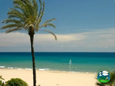 Playa junto al mar con palmera y vela del Camping Caravaning Gavina, Creixell (Tarragona)