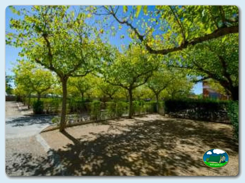 Camping Creixell en CREIXELL (Tarragona), Tarragona - imagen 2