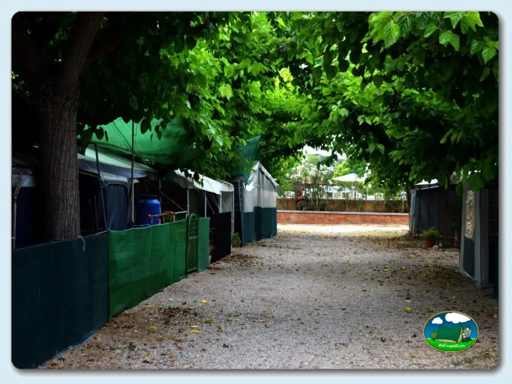 Camping La Sirena Dorada en Creixell Tarragona, Tarragona - imagen 4