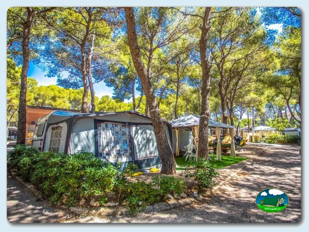 Tienda de acampada bajo pinos con sombrillas del Camping Francas, El Vendrell (Tarragona)