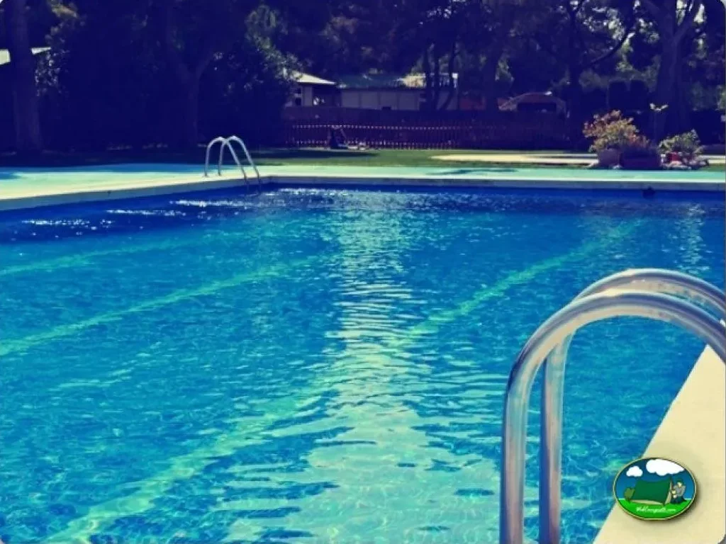Piscina con vistas al bosque y bungalows del Camping El Garrofer, Sitges (Barcelona)