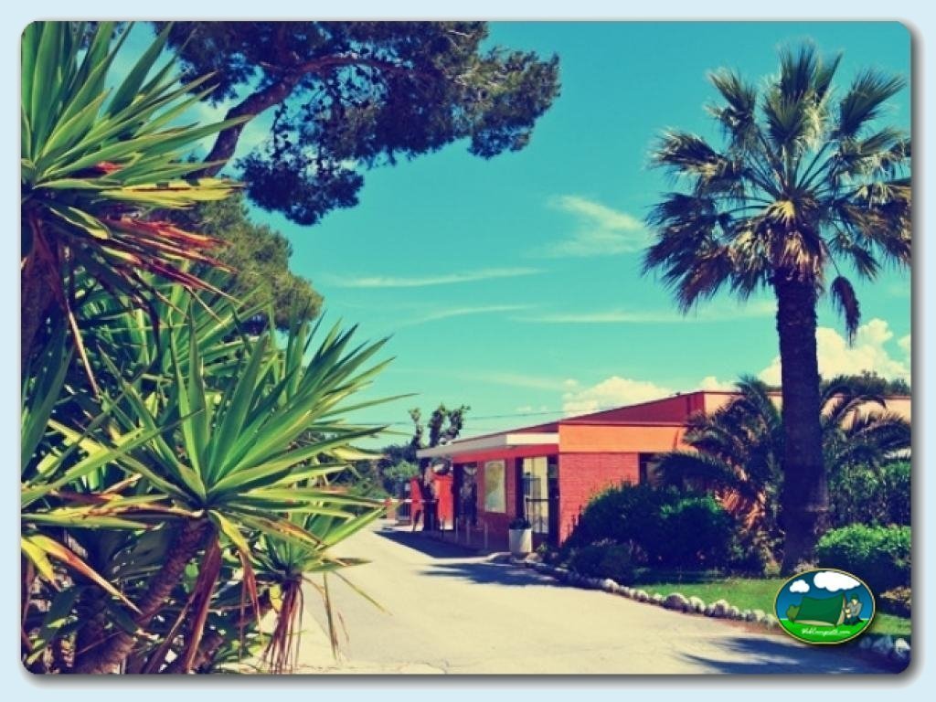 foto del camping Camping El Garrofer