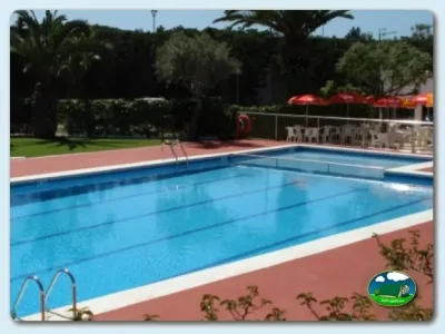 Piscina con vistas al jardín y palmeras del Camping Sitges, Sitges (Barcelona)