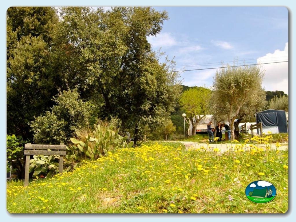 foto del camping Camping El Pasqualet