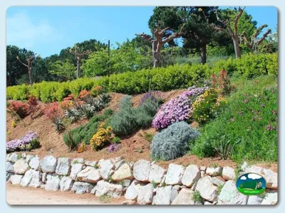 Entorno natural con flores silvestres y árboles mediterráneos del Camping El Carlitos, Arenys de Mar (Barcelona)