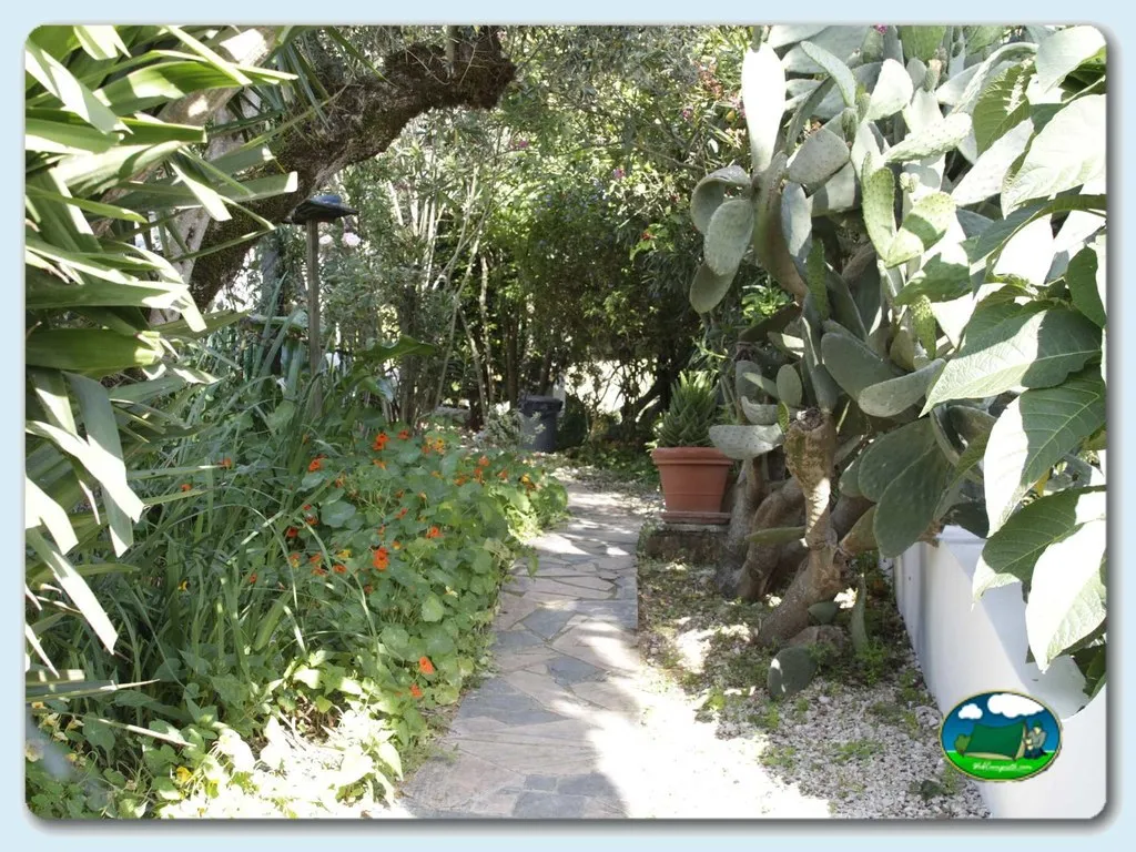 Camino entre plantas y árboles del recinto del Camping Redondo, Poço Redondo (Santarém)