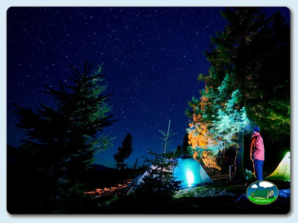 Tienda de acampada nocturna bajo las estrellas en parcela arbolada del Camping Castelo do Bode, Martichel (Santarém)