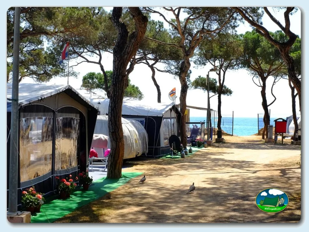 Camping El Pinar en Blanes, Girona, Girona