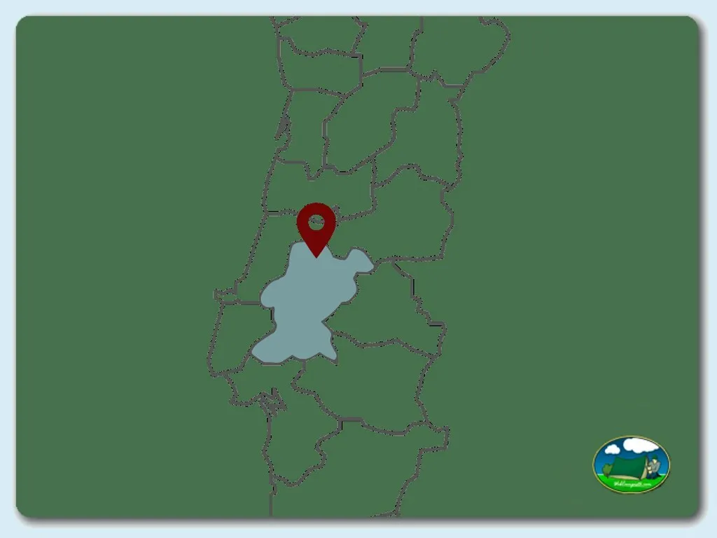 Plano del recinto del Camping Quinta de Cerejeira, Ferreira do Zêzere (Santarém)
