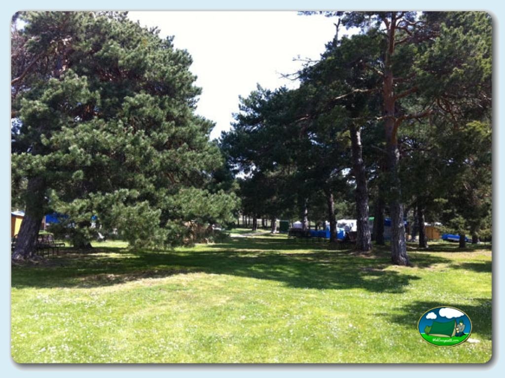 foto del camping Camping El Concurso