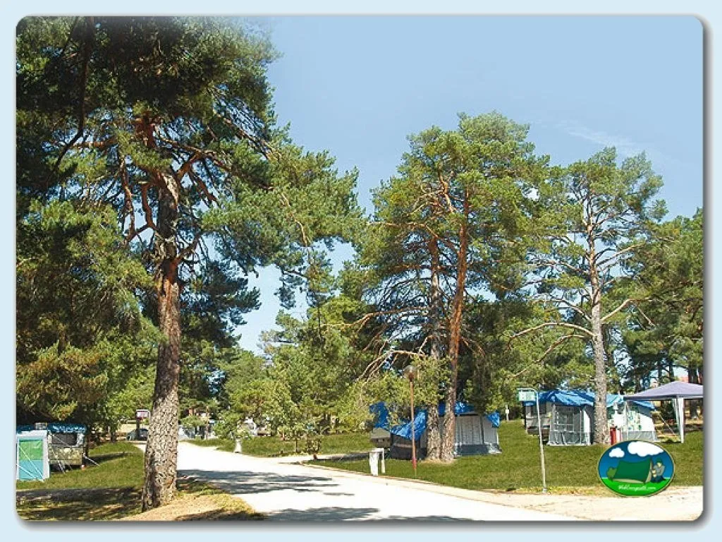 Camping El Concurso en Abejar, Soria - imagen 3