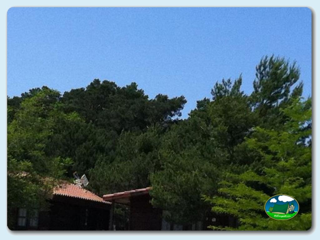 foto del camping Camping El Concurso