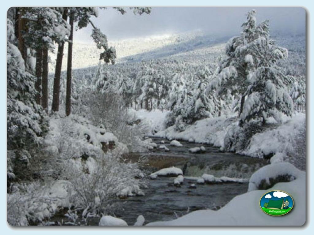 foto del camping Camping El Concurso