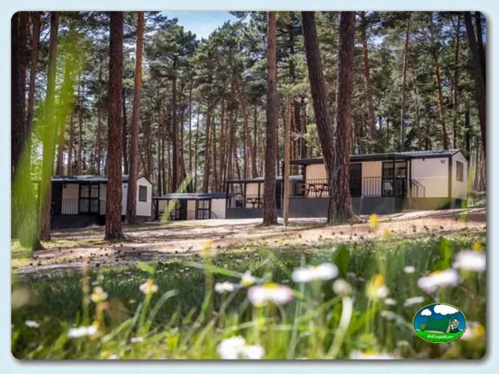 Camping Urbión en Abéjar, Soria - imagen 2