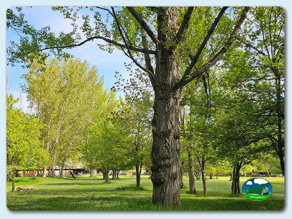 foto del camping Camping Los Cameros