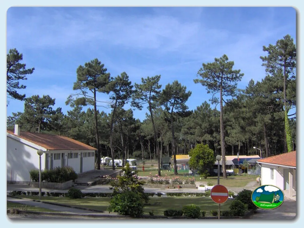 Parcela arbolada con bungalow entre pinos del Camping Inatel, Marinha Grande (Leiria)