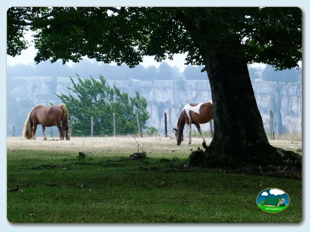 Camping Urbasa Bioitza en Olazagutia