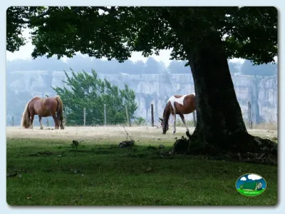 Parcela con caballos y vistas a la montaña del Camping Urbasa Bioitza, Olazagutia (Navarra)