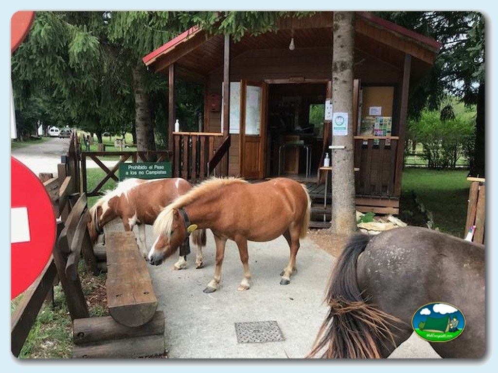 foto del camping Urbasa Bioitza