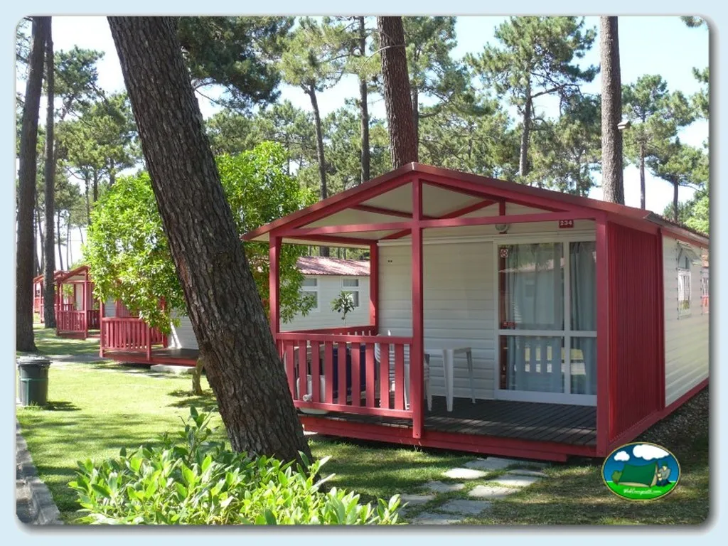 Camping Orbitur São Pedro de Moel en Marinha Grande - imagen 3