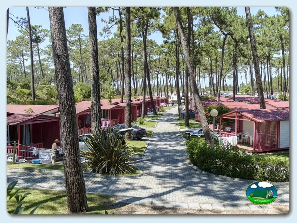 Camping Orbitur São Pedro de Moel en Marinha Grande - imagen 4