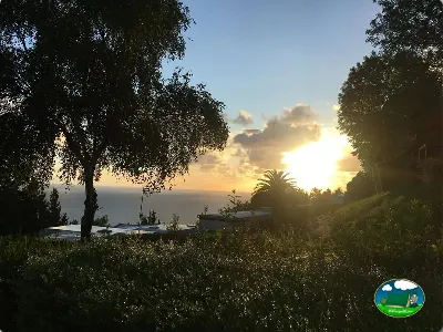 Vistas al mar al atardecer desde parcela arbolada del Camping Santa Elena, Mutriku (Gipuzkoa)