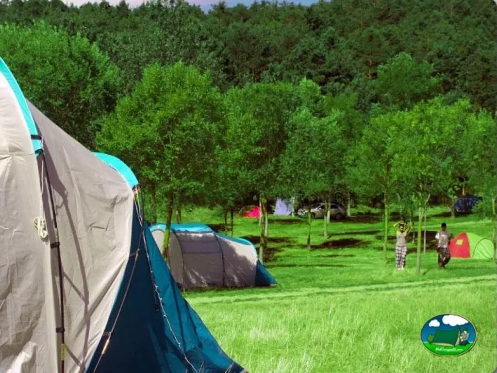 Tienda de acampada en una parcela entre el bosque del Camping Pigalo, Luesia (Zaragoza)