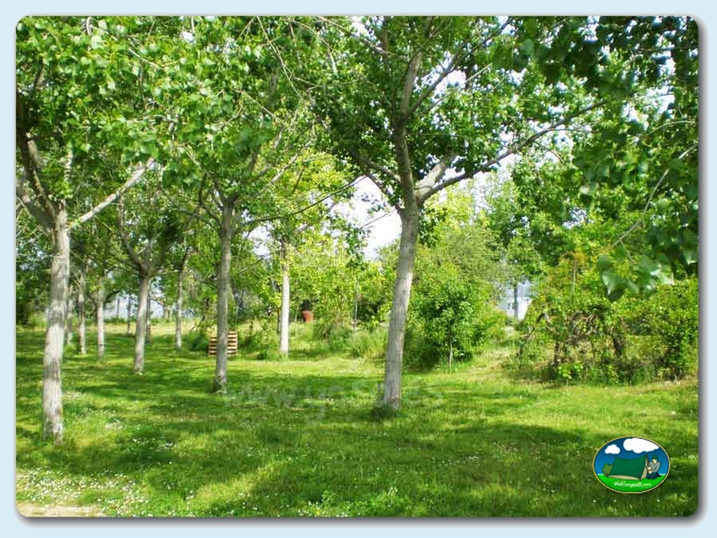 foto del camping Altaoja Guara