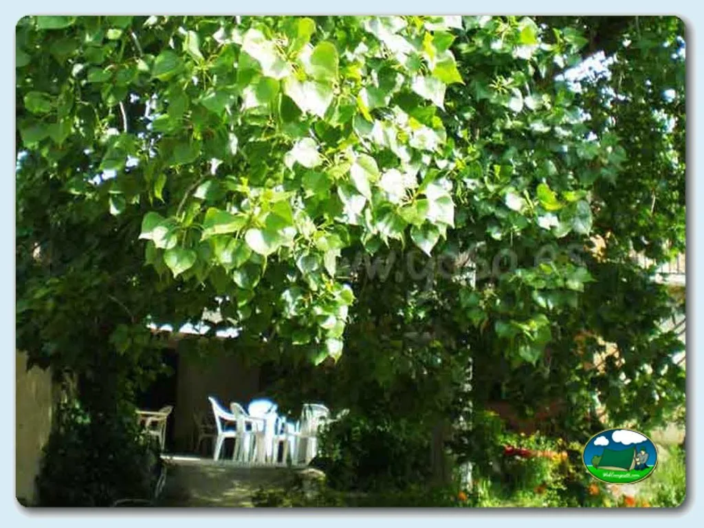 Camping Altaoja Guara en Yaso, Huesca - imagen 5