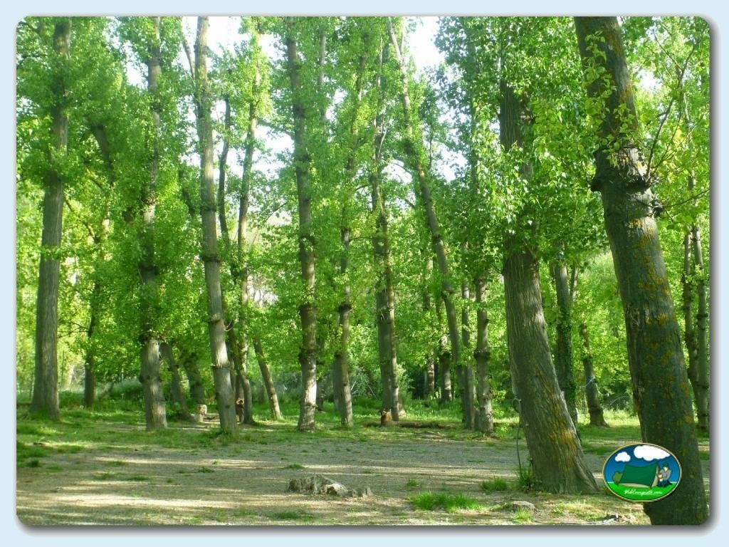 Camping El Puente
